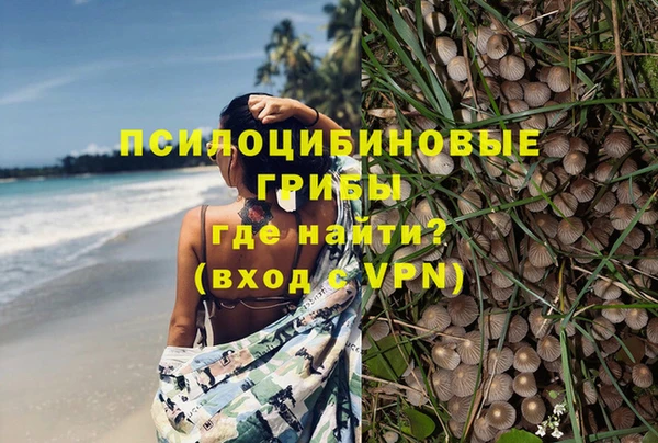 a pvp Богданович
