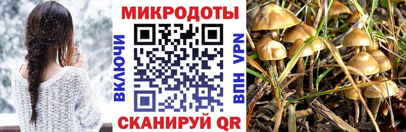 Галлюциногенные грибы Psilocybe  где купить наркоту  Донской 